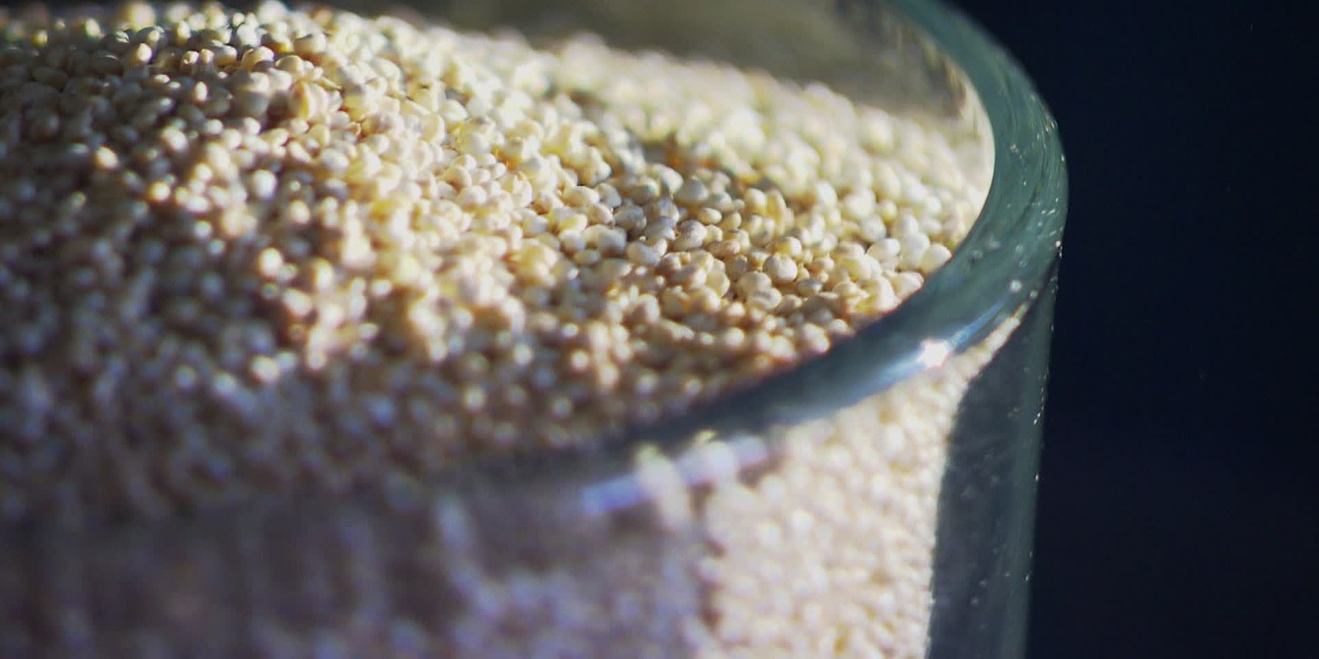 "bewusst gesund" am 17.2.2024: Quinoa – Superfood mit Gebrauchsanweisung