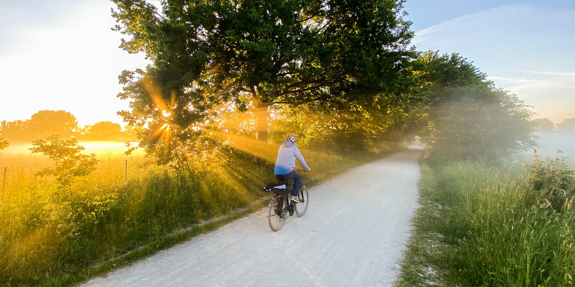 Niedersachsen, Laatzen: Ein Mann fährt mit einem Fahrrad um 5:40 Uhr bei Sonnenaufgang und leichten Bodennebel durch die Leinemasch in der Region Hannover.