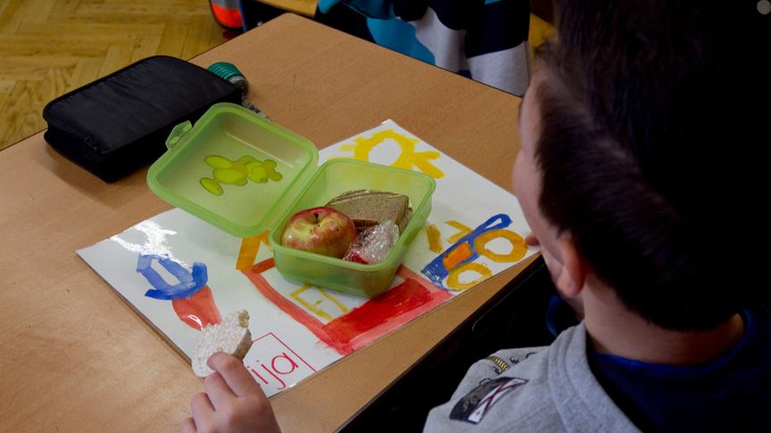 Apfel Bildung Brot Bub Ernährung Gesundheit Jause Schule Schüler Volksschule   